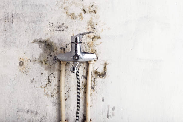 Best Water Damage Restoration  in Fort Leonard Wood, MO