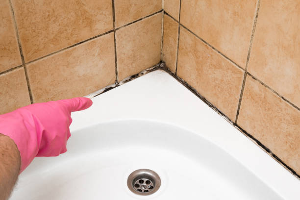 Crawl Space Mold Removal in Fort Leonard Wood, MO